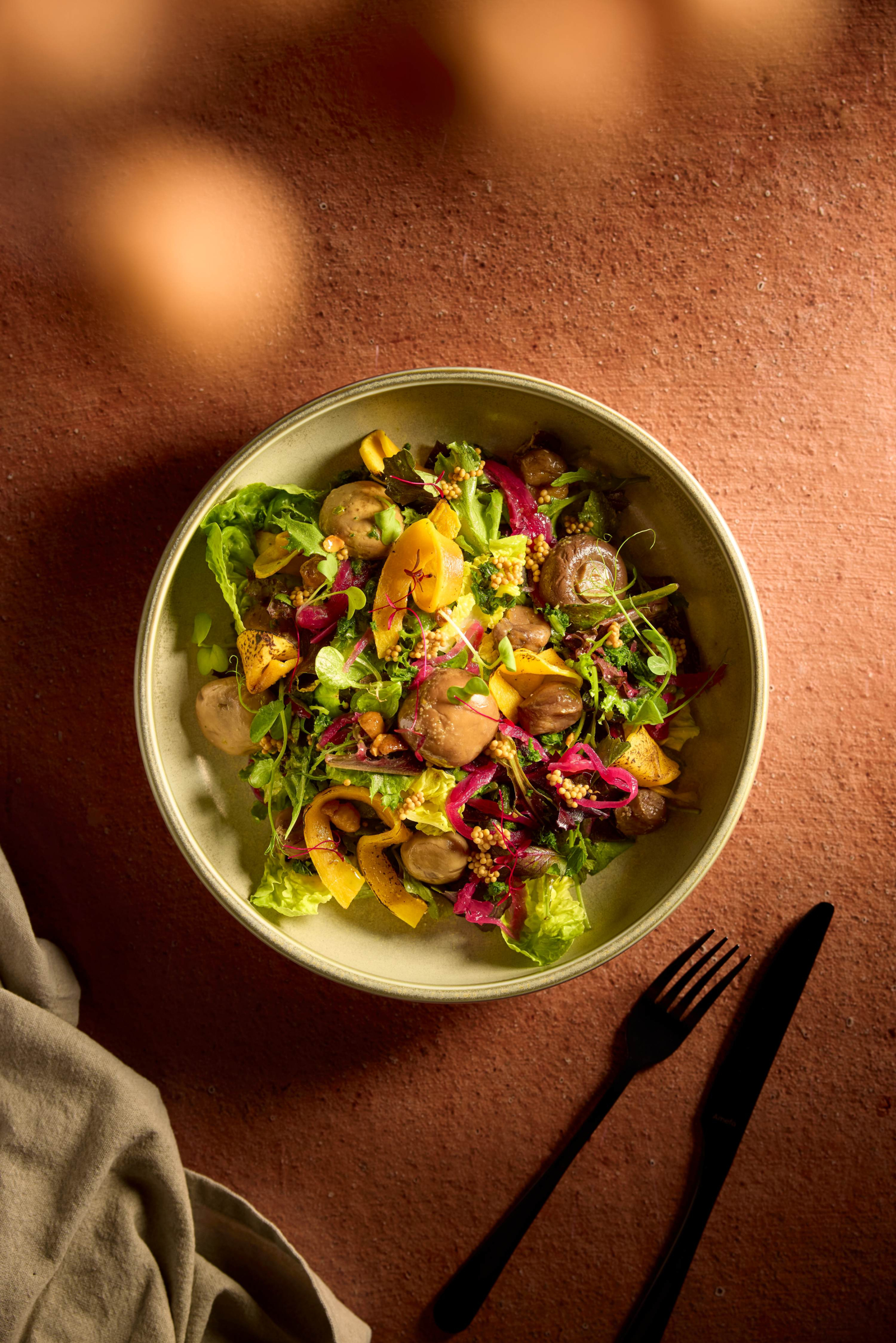 TBN Salade Boerenkool (1)