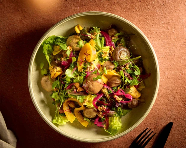 TBN Salade Boerenkool (2)
