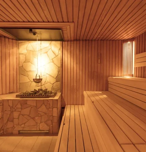 Finse sauna 2