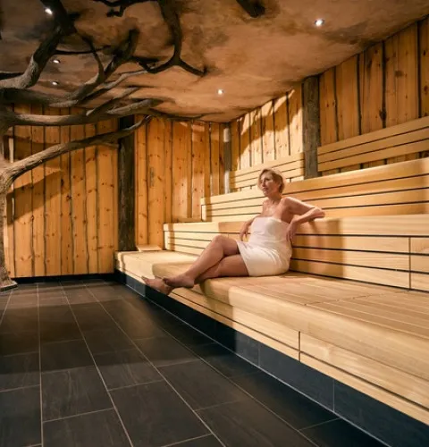 Sequoia sauna met model 2 1